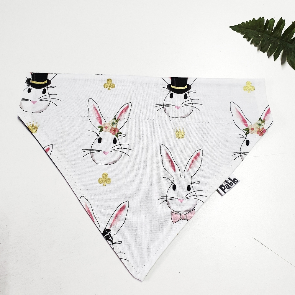 🐶 3 for $15 * Pablo Reversible Elegant Easter Bunnies Dog Collar - Picture 4 of 7